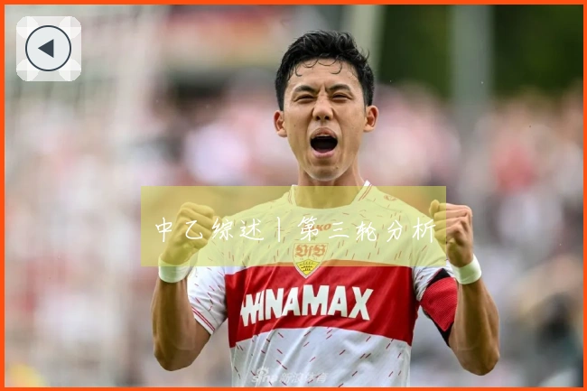 中乙综述丨第三轮分析